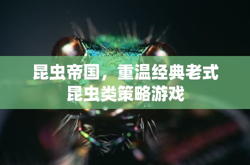 重溫經(jīng)典，老式昆蟲類策略游戲昆蟲帝國