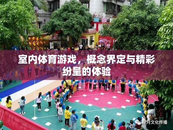 室內(nèi)體育游戲，概念解析與精彩體驗(yàn)的碰撞