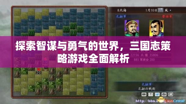 智勇雙全，全面解析三國志策略游戲