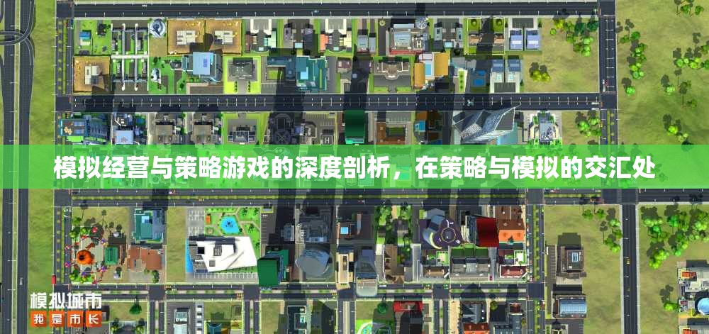 策略與模擬的交匯，深度剖析模擬經營與策略游戲