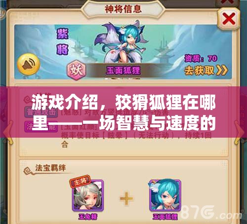 狡猾狐貍在哪里，智慧與速度的體育冒險(xiǎn)