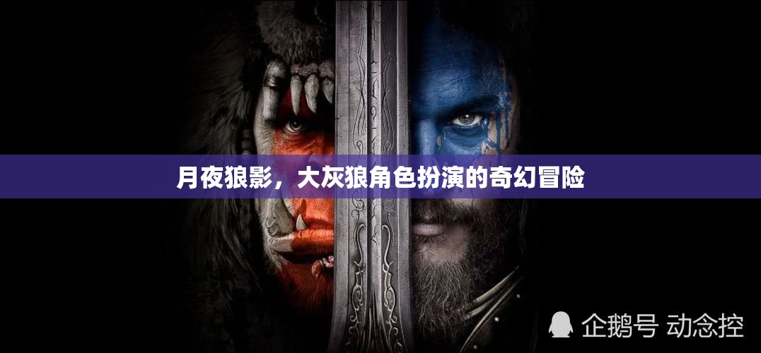 月夜狼影，大灰狼的奇幻冒險(xiǎn)之旅