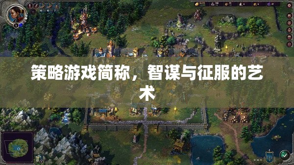 智謀與征服的藝術(shù)，策略游戲的魅力