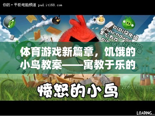饑餓的小鳥，寓教于樂的體育游戲新篇章