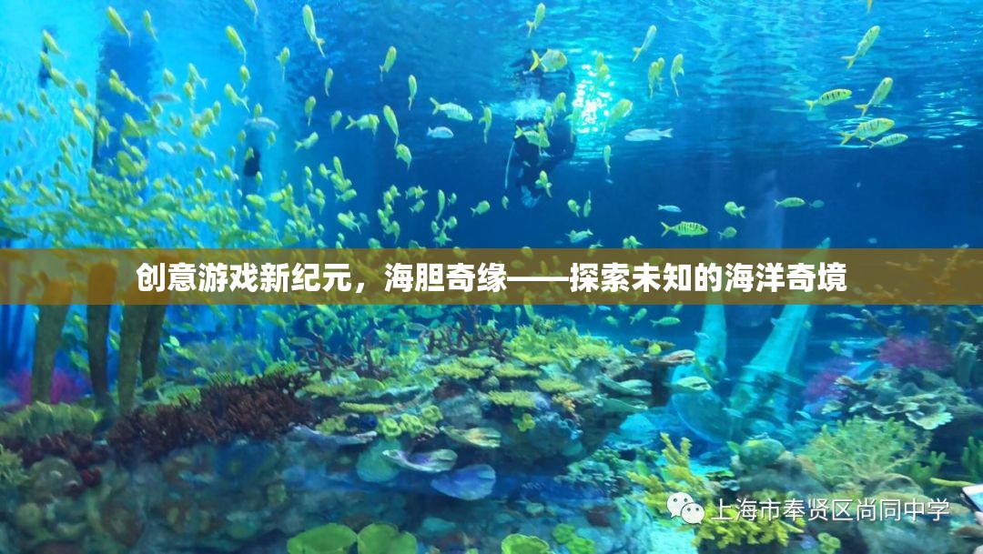 海膽奇緣，解鎖創(chuàng)意游戲新紀(jì)元，探索未知的海洋奇境