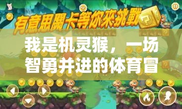機靈猴，智勇雙全的體育冒險之旅