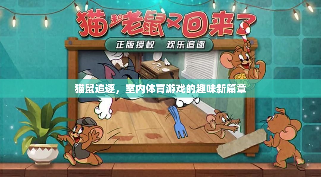 貓鼠追逐，室內(nèi)體育游戲的新奇樂趣