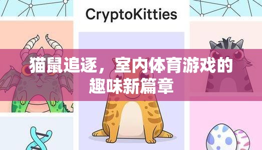 貓鼠追逐，室內(nèi)體育游戲的新奇樂趣