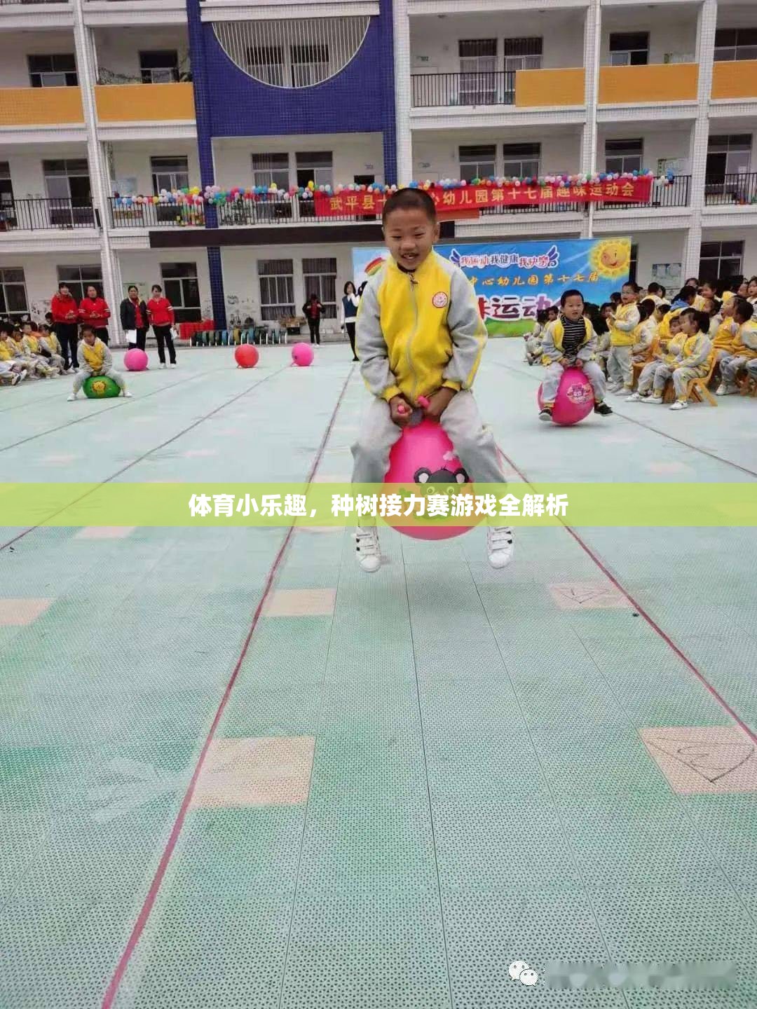 種樹接力賽，一場充滿樂趣的體育游戲全解析