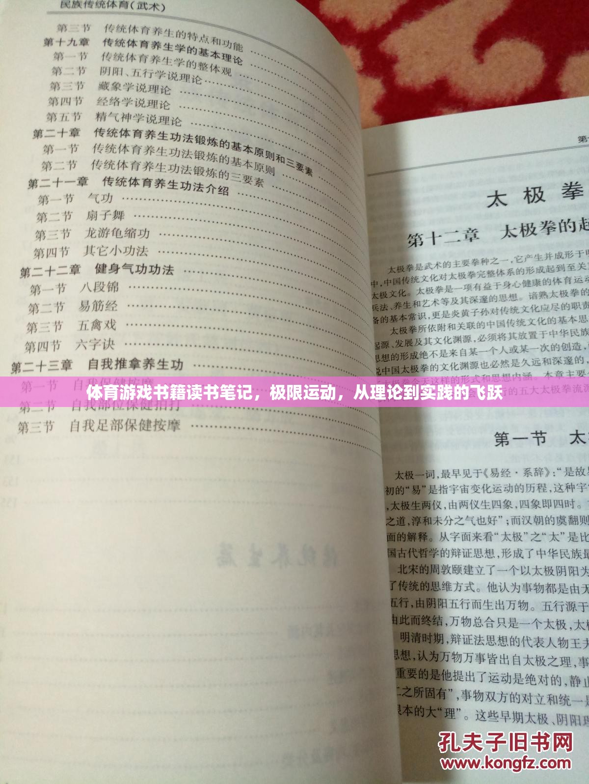 極限挑戰(zhàn)，體育游戲書籍中的理論與實踐飛躍