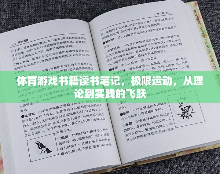 極限挑戰(zhàn)，體育游戲書籍中的理論與實踐飛躍