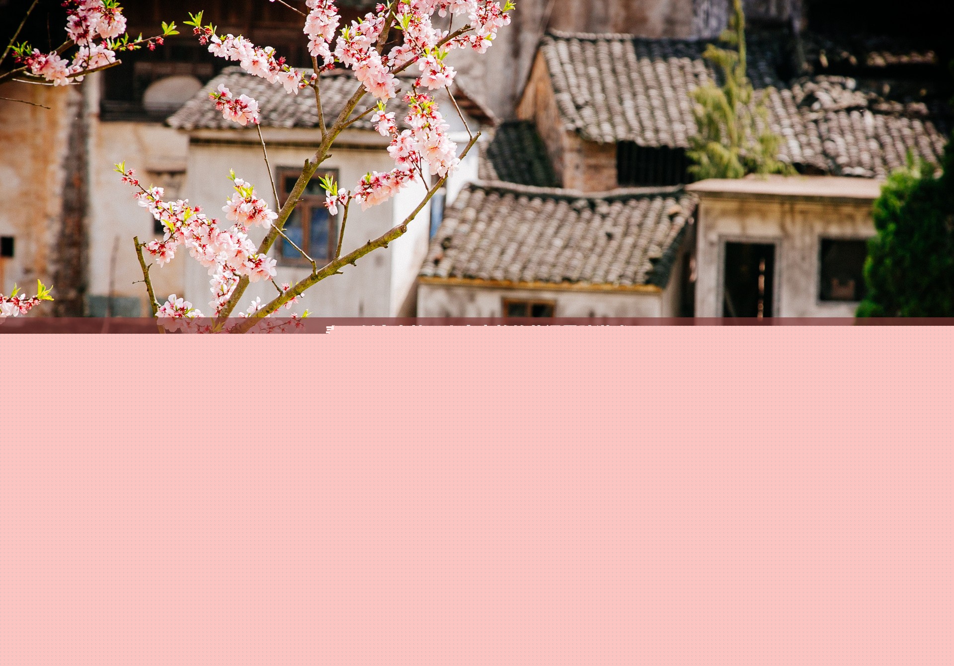 春日創(chuàng)意小筑，一場花語尋蹤的浪漫之旅