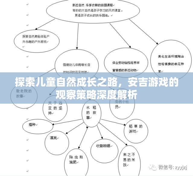安吉游戲觀察策略，探索兒童自然成長(zhǎng)之路的深度解析