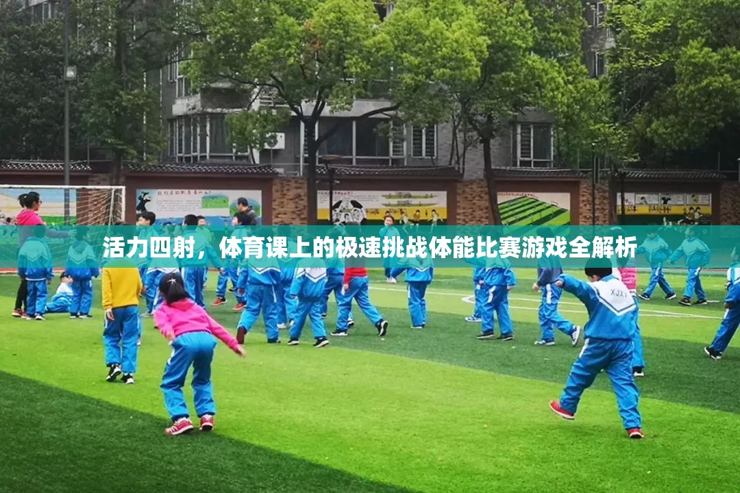 體育課上的極速挑戰(zhàn)，一場活力四射的體能比賽游戲全解析
