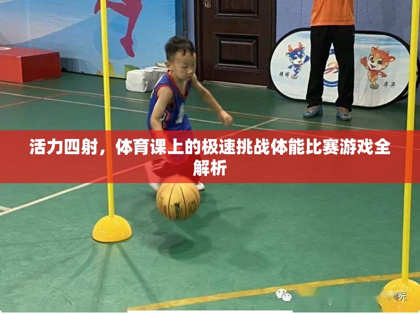 體育課上的極速挑戰(zhàn)，一場活力四射的體能比賽游戲全解析