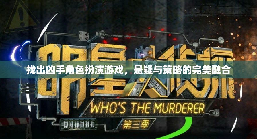 找出兇手角色扮演游戲，懸疑與策略的雙重挑戰(zhàn)