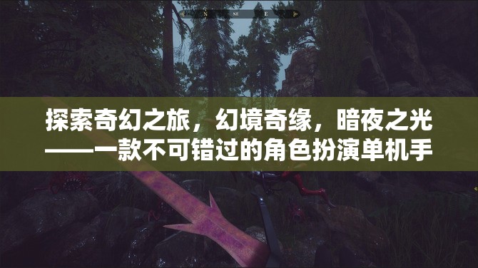 暗夜之光，探索奇幻之旅的幻境奇緣