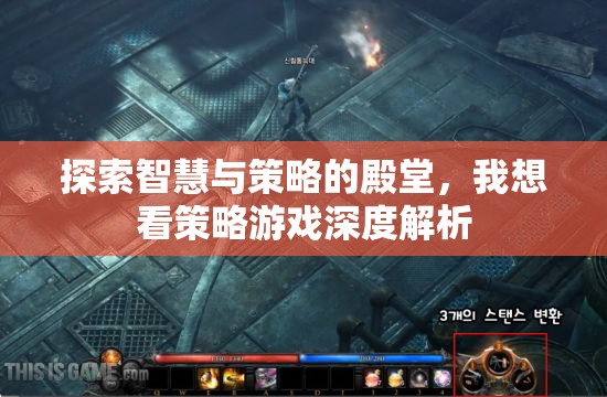 策略游戲深度解析，探索智慧與策略的殿堂