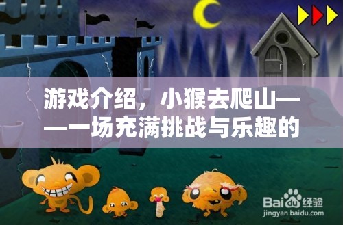 小猴的登山挑戰(zhàn)，一場融合挑戰(zhàn)與樂趣的體育冒險(xiǎn)之旅