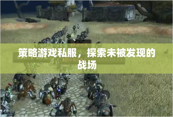 探索未被發(fā)現(xiàn)的戰(zhàn)場，策略游戲私服之旅
