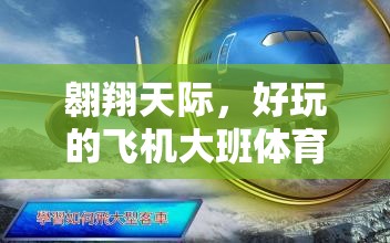 翱翔天際，大班兒童飛機(jī)體育游戲全攻略