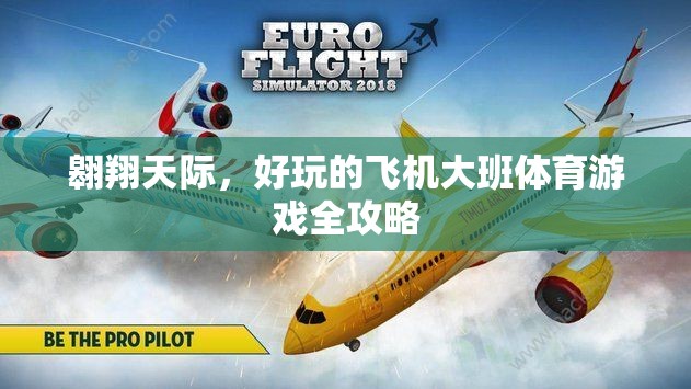 翱翔天際，大班兒童飛機(jī)體育游戲全攻略