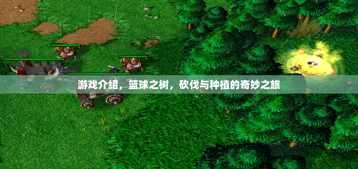 籃球之樹，砍伐與種植的奇妙籃球之旅