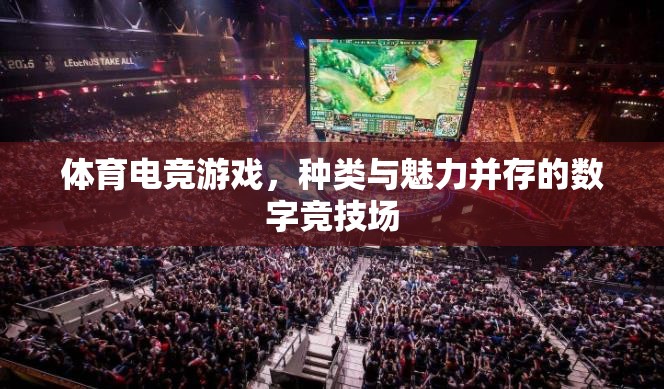體育電競游戲，數(shù)字競技場中的魅力與多樣性