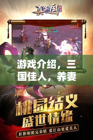 三國佳人中的養(yǎng)妻策略，打造你的后宮傳奇