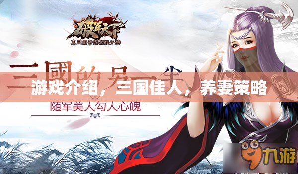 三國佳人中的養(yǎng)妻策略，打造你的后宮傳奇