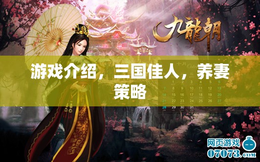 三國佳人中的養(yǎng)妻策略，打造你的后宮傳奇
