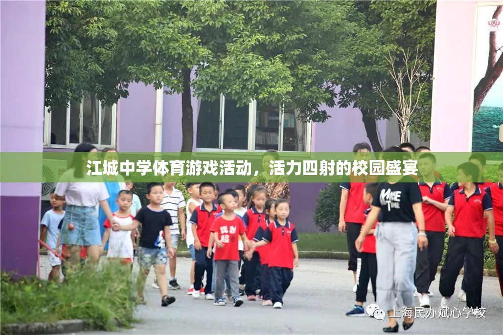 江城中學體育游戲活動，活力四射的校園盛宴