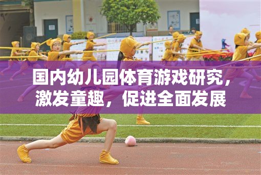 激發(fā)童趣，促進全面發(fā)展，國內(nèi)幼兒園體育游戲研究
