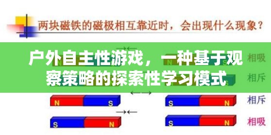 戶外自主性游戲，基于觀察策略的探索性學習模式