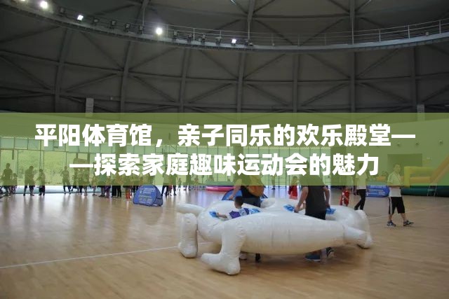 平陽體育館，親子同樂的歡樂殿堂，探索家庭趣味運(yùn)動會的魅力
