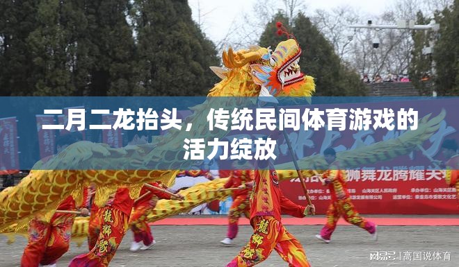 二月二龍?zhí)ь^，傳統(tǒng)民間體育游戲的活力綻放