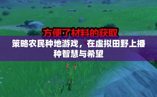 智慧田野，策略農(nóng)民種地游戲中的希望播種