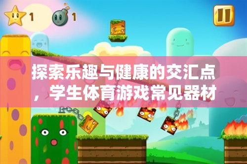 探索學(xué)生體育游戲器材的奇妙世界，樂趣與健康的交匯點