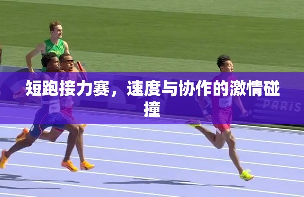 速度與協(xié)作的激情碰撞，短跑接力賽的精彩瞬間