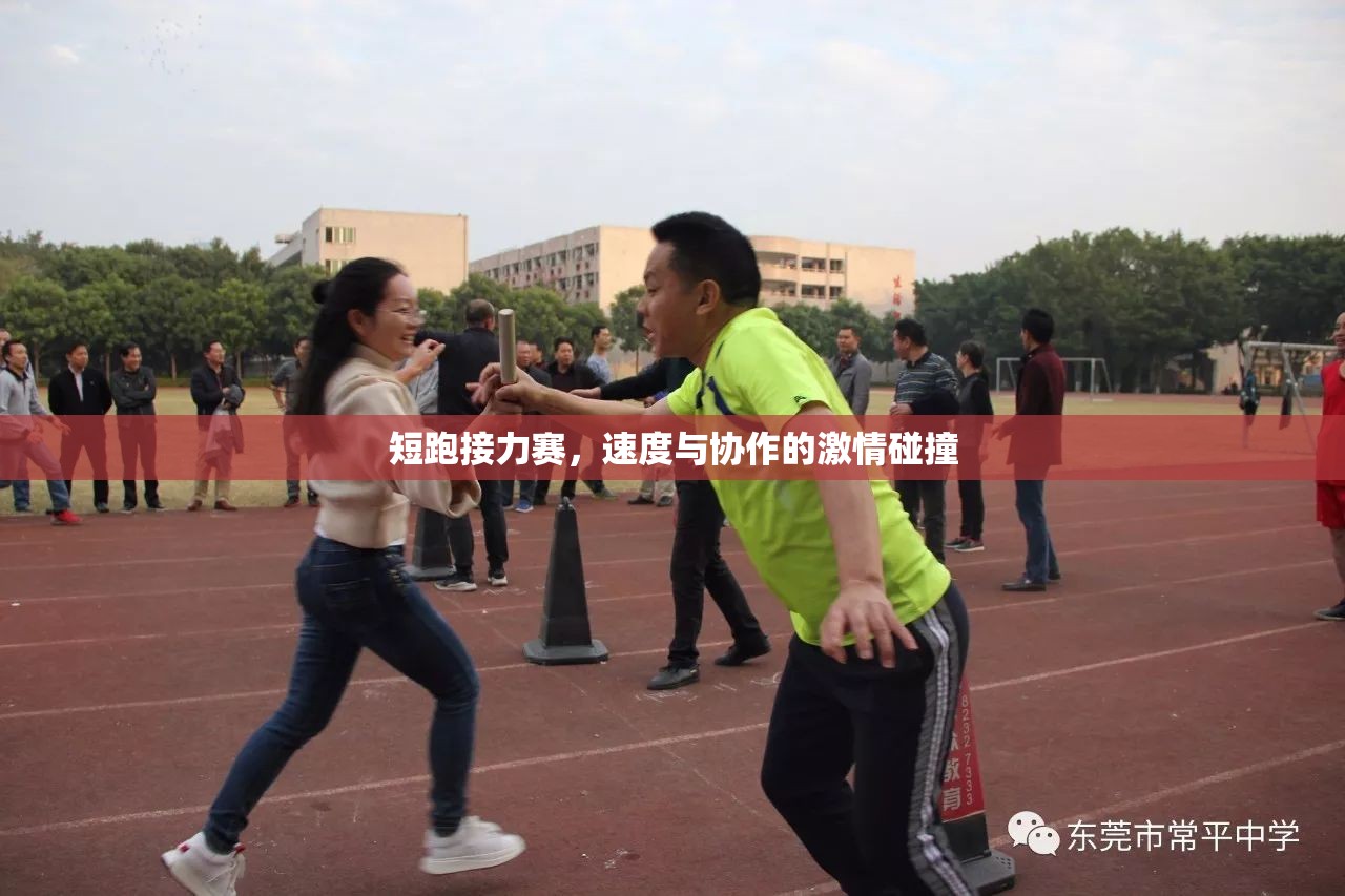 速度與協(xié)作的激情碰撞，短跑接力賽的精彩瞬間