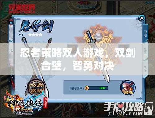 雙劍合璧，忍者策略雙人游戲的智勇對(duì)決