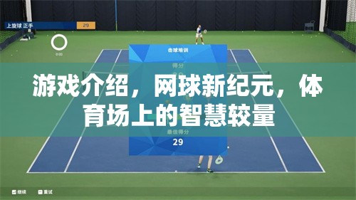 網(wǎng)球新紀(jì)元，智慧與技巧的體育場(chǎng)較量  第3張