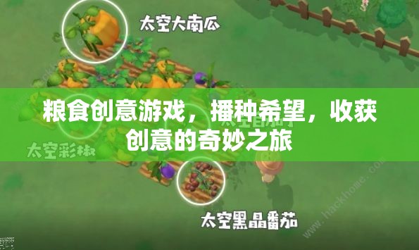 糧食創(chuàng)意游戲，播種希望，收獲創(chuàng)意的奇妙之旅