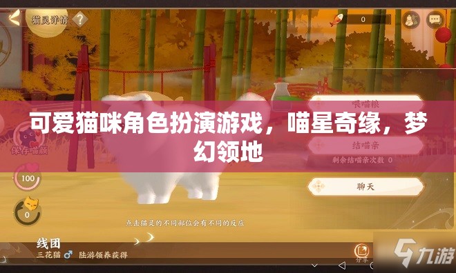 喵星奇緣，夢幻領(lǐng)地中的可愛貓咪角色扮演游戲