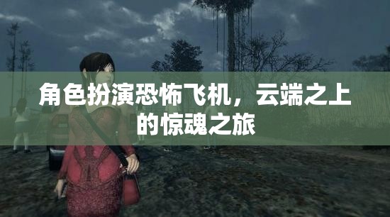 云端驚魂，恐怖飛機(jī)上的生存挑戰(zhàn)