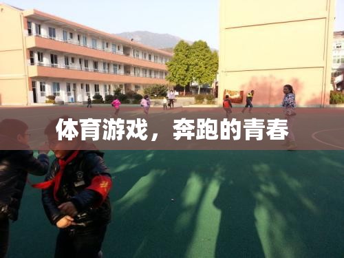 奔跑的青春，體育游戲中的激情與挑戰(zhàn)