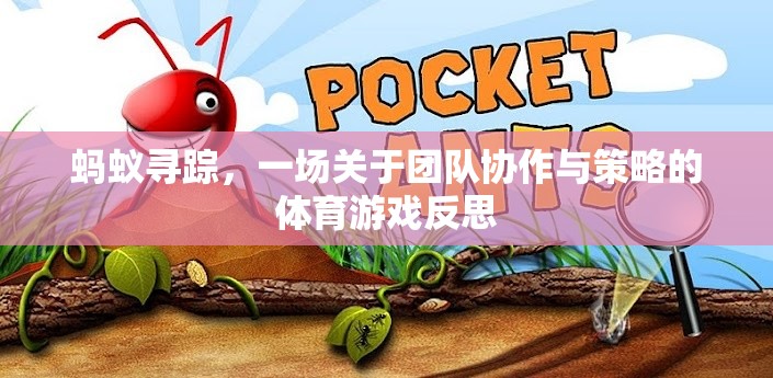 螞蟻尋蹤，團隊協(xié)作與策略的體育游戲反思