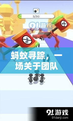 螞蟻尋蹤，團隊協(xié)作與策略的體育游戲反思