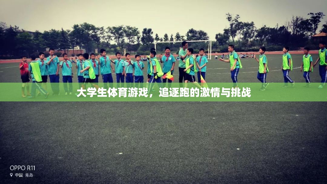 追逐跑，大學生體育游戲中的激情與挑戰(zhàn)