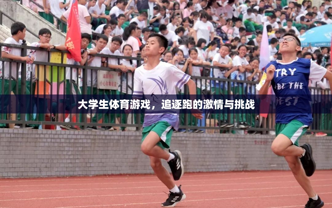 追逐跑，大學生體育游戲中的激情與挑戰(zhàn)